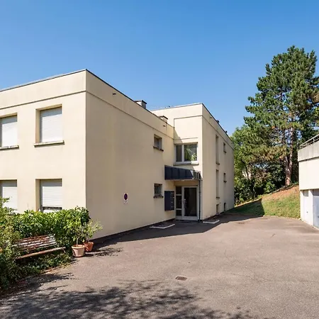 Appartement Le Nichoir De La Colline - Parking&wifi Obernai