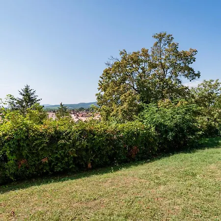 Le Nichoir De La Colline - Parking&wifi