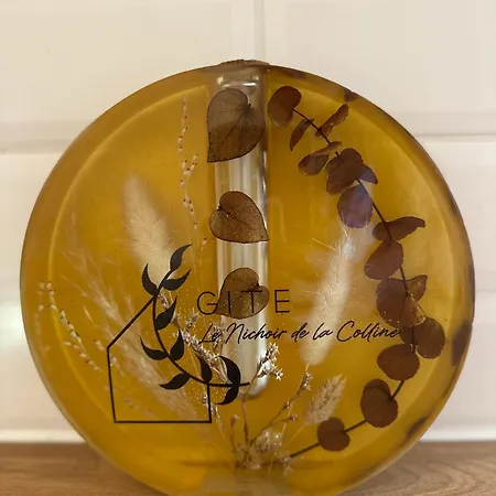 Apartamento Le Nichoir De La Colline - Parking & Wifi *