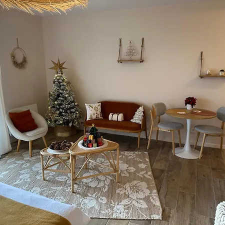 Appartement Le Nichoir De La Colline - Parking&wifi Obernai
