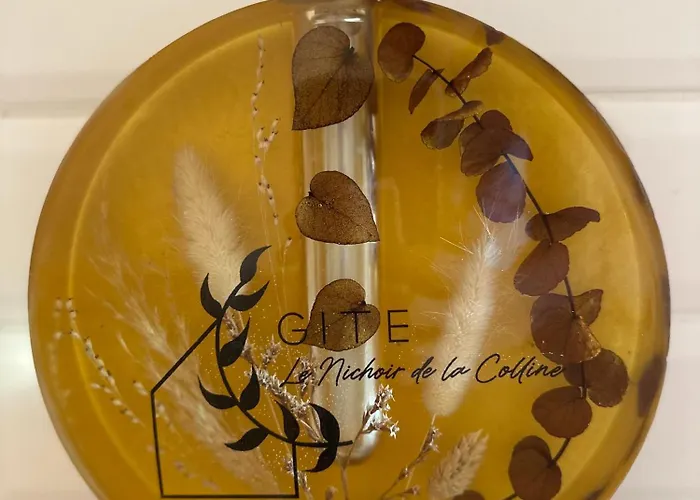 Apartament Le Nichoir De La Colline - Parking & Wifi *